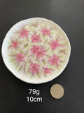 Pink Roses Plate Round