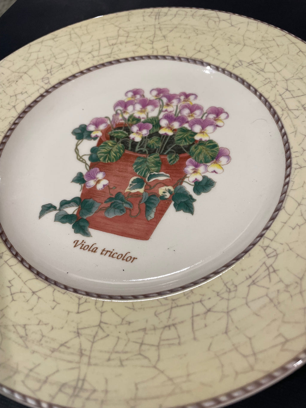 Whole Plate - Wedgwood Sarah’s Garden