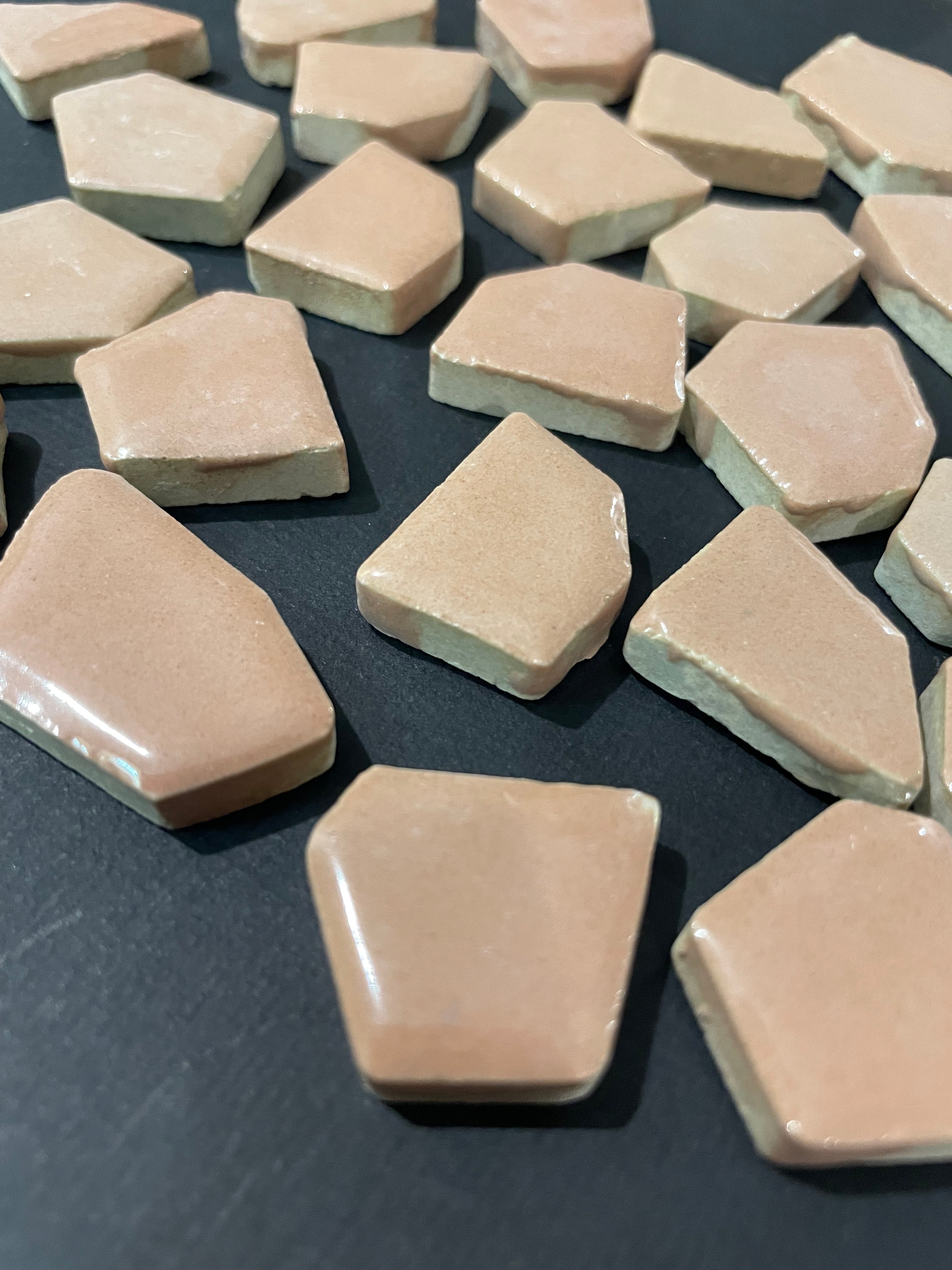 Peach Ceramic Snippets