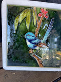 Stunning 3D tile - Superb Fairy Wren - Right