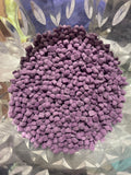 Micro Squares - Grape