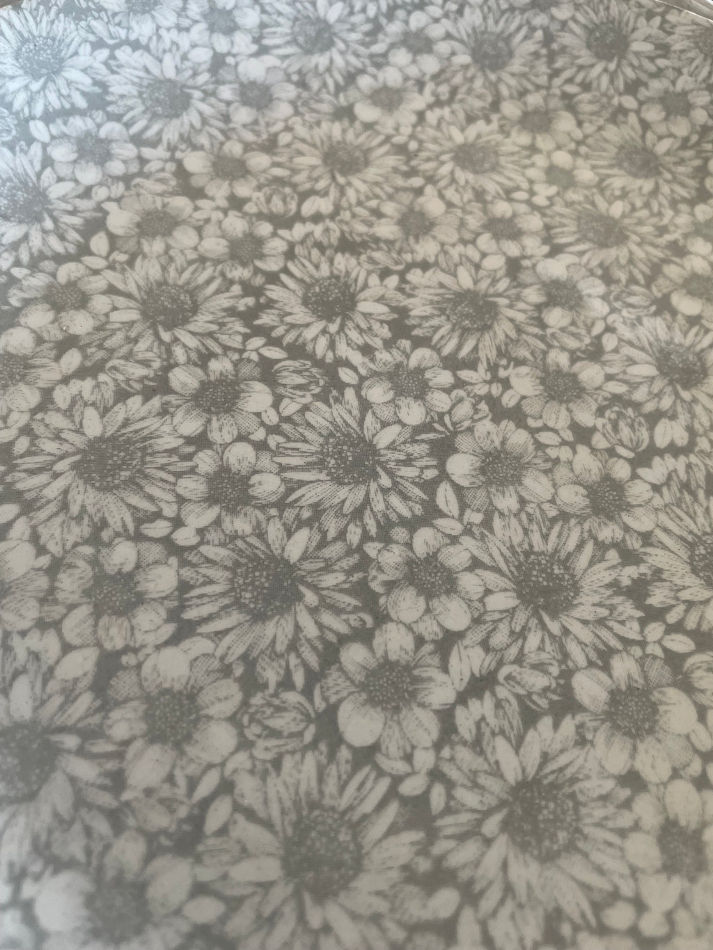 Whole Plate - White Daisies