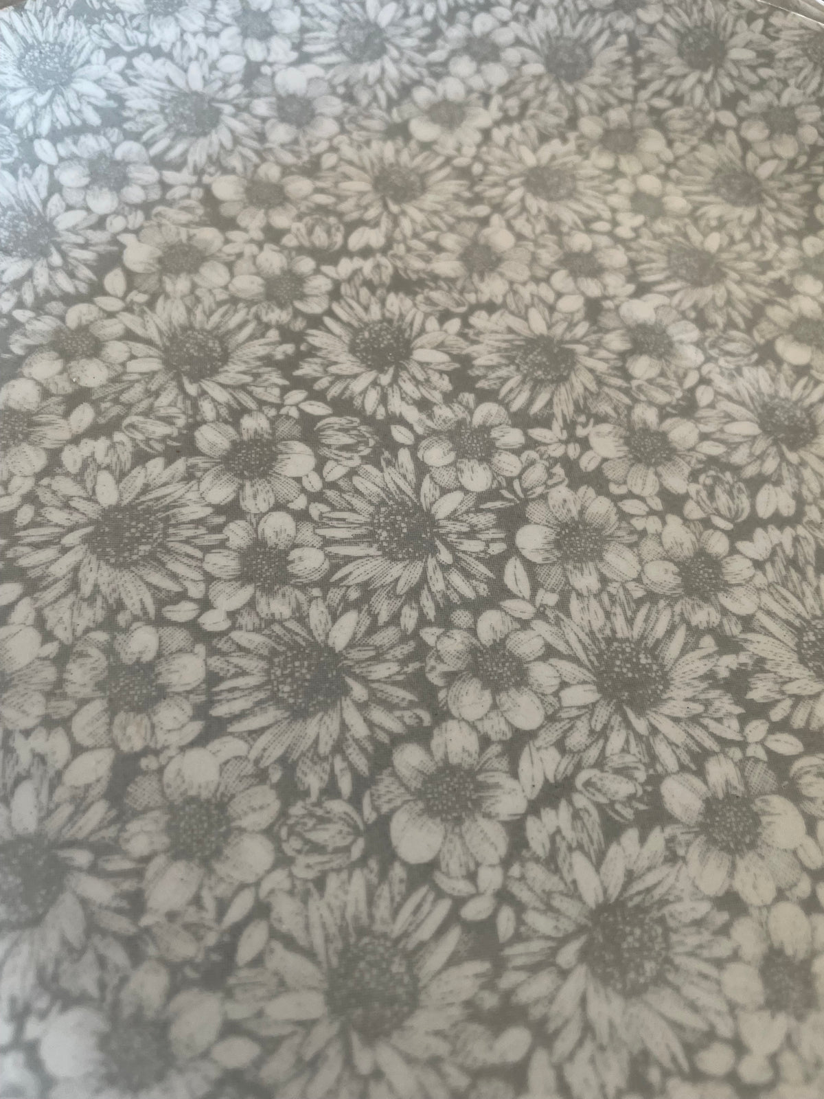 Whole Plate - White Daisies