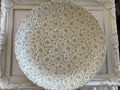 Whole Plate - White Daisies