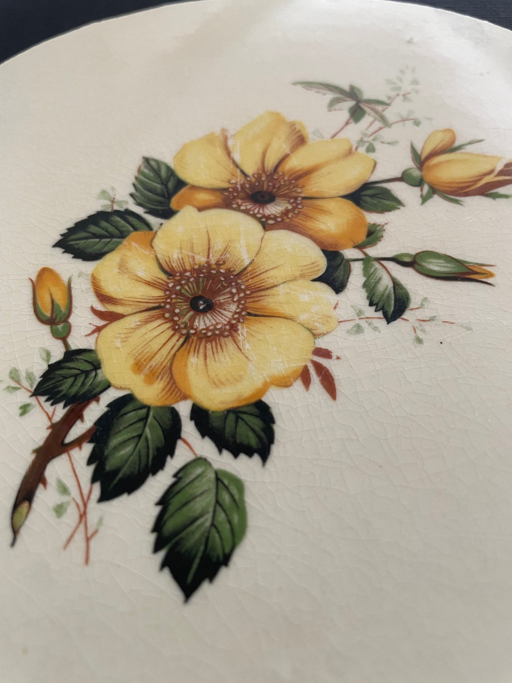 Yellow Rose plate round