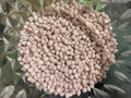 Micro Squares - Baby Pink