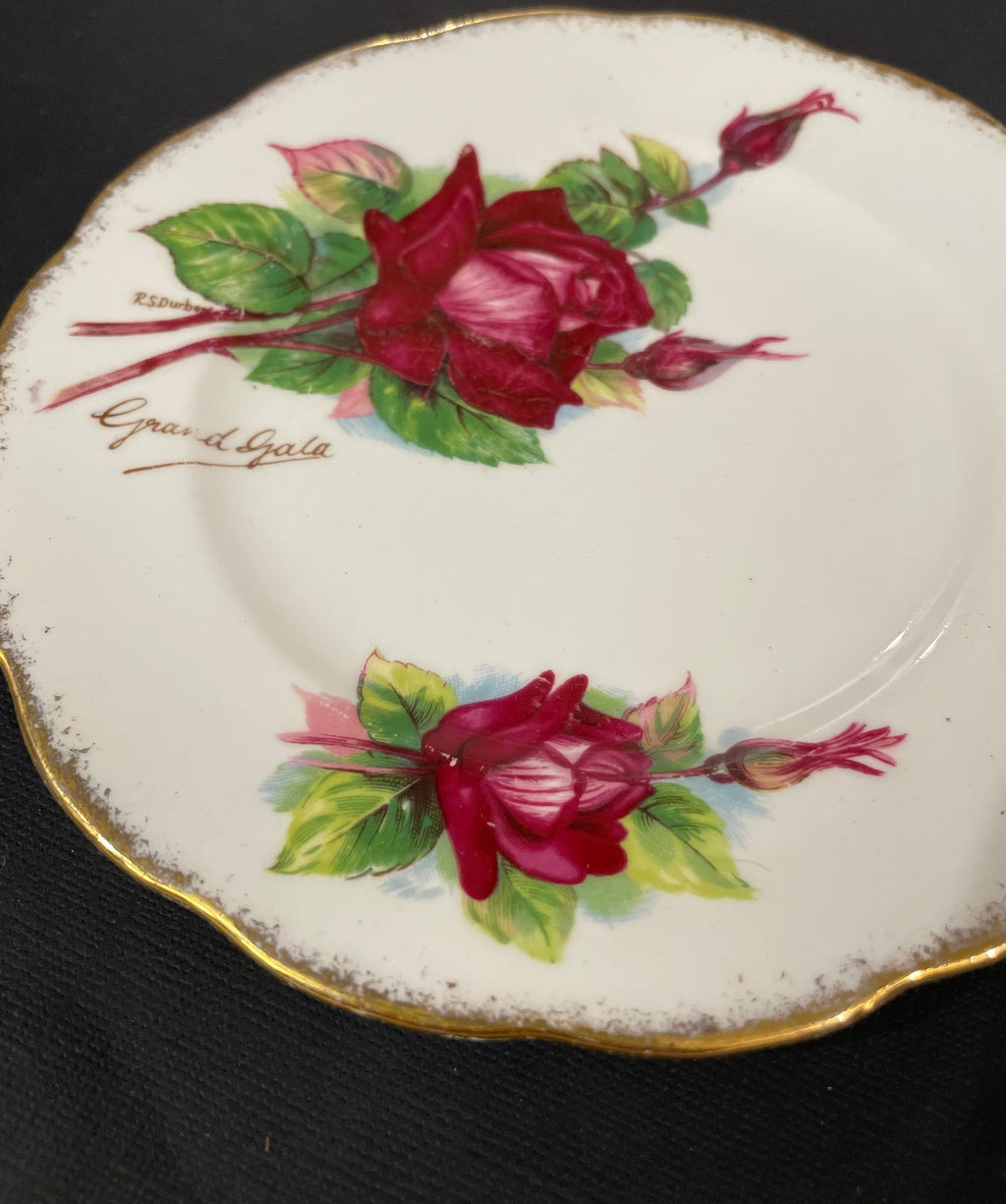Whole Plate - Grand Gala