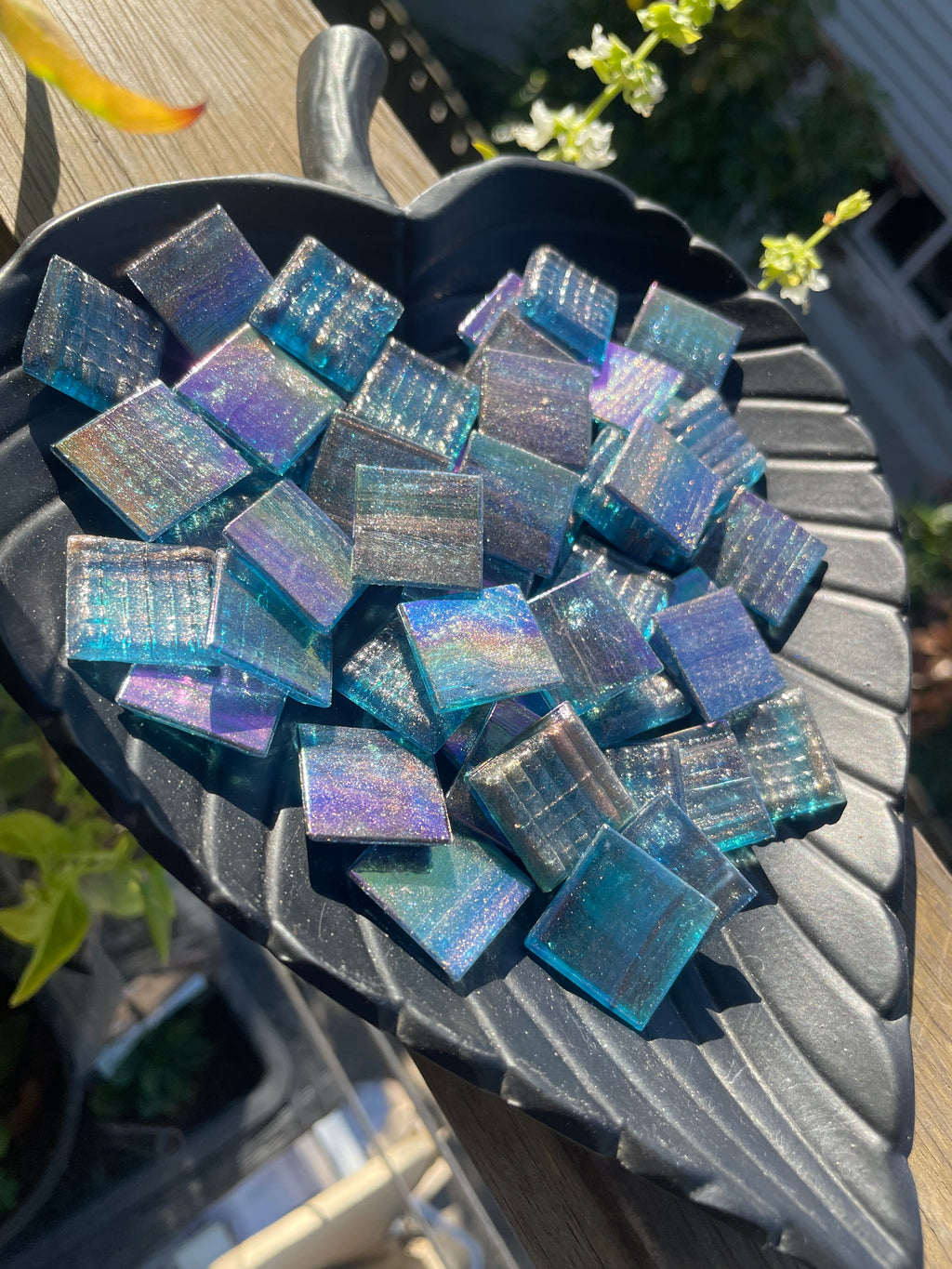 Bulk 1kg - 20mm - Sea Holly