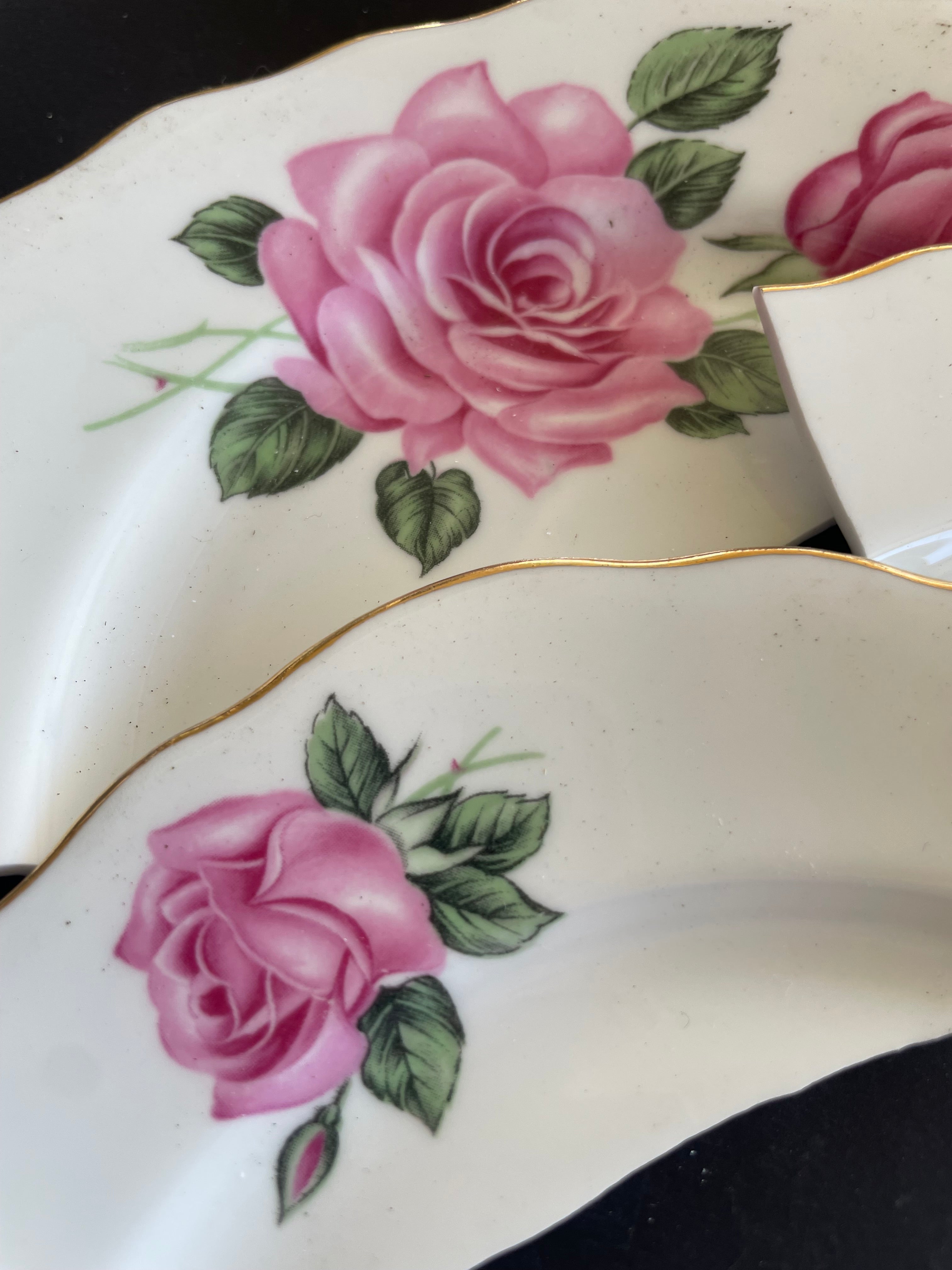 Pink Roses