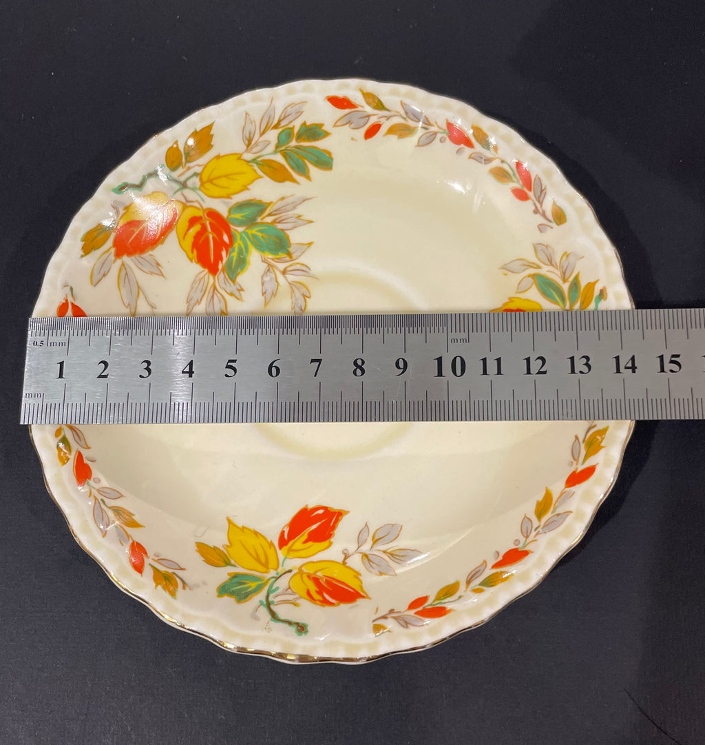 Whole Plate - The Holly Leaves