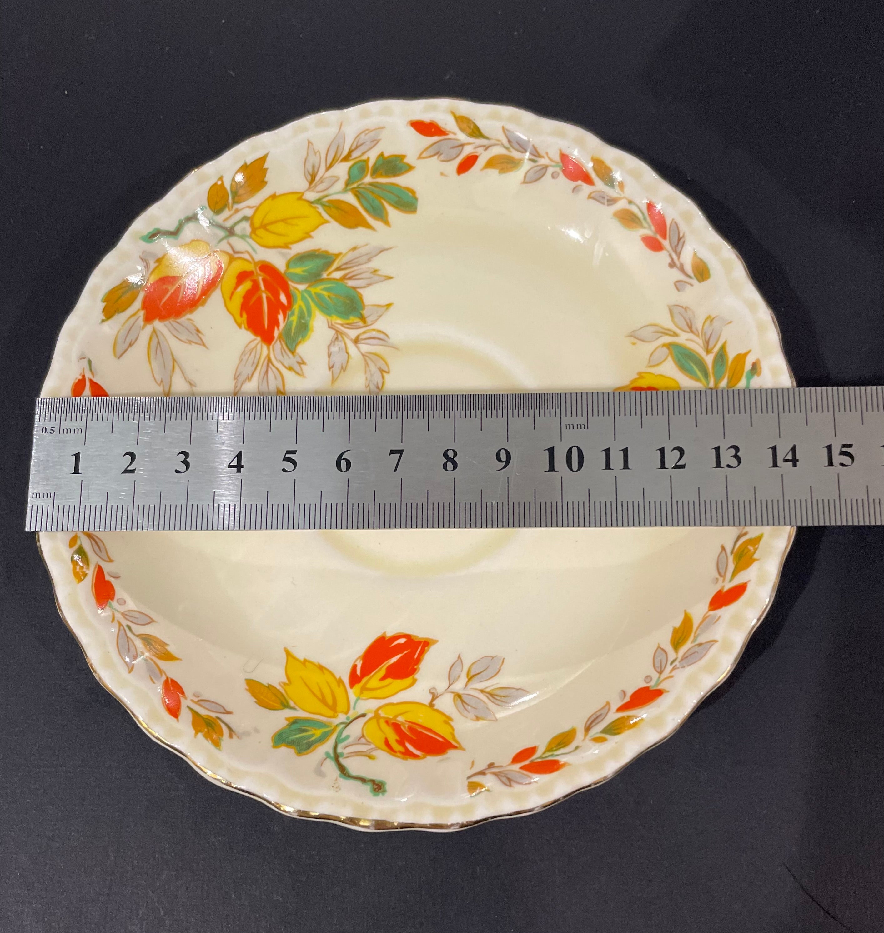 Whole Plate - The Holly Leaves