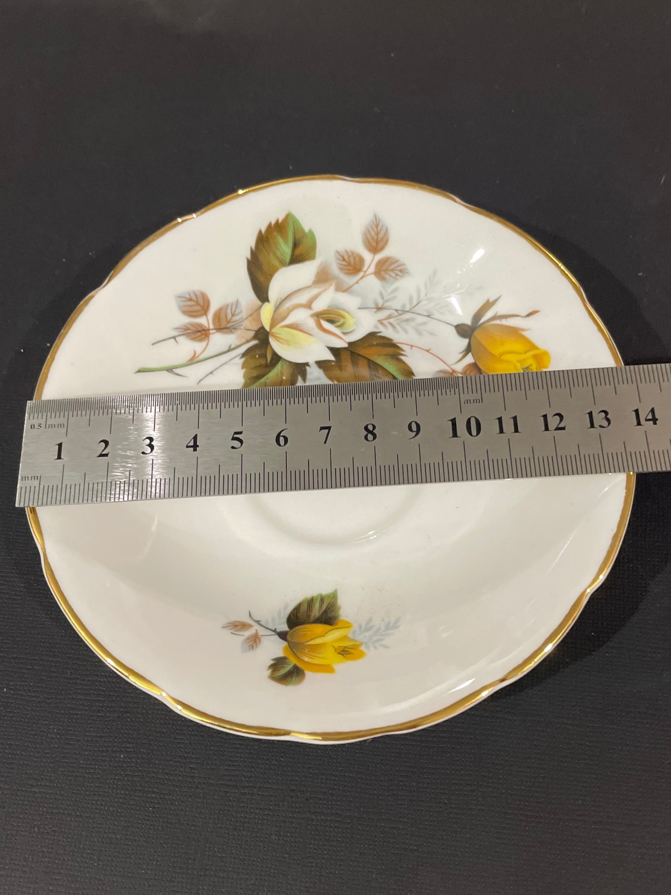 Whole Plate - Delphine