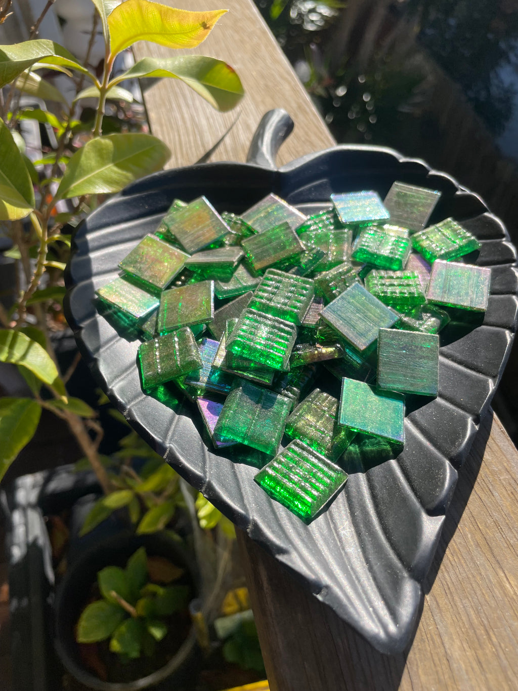 Bulk 1kg - 20mm - Clover