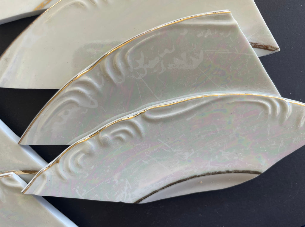 Ivory Rainbow