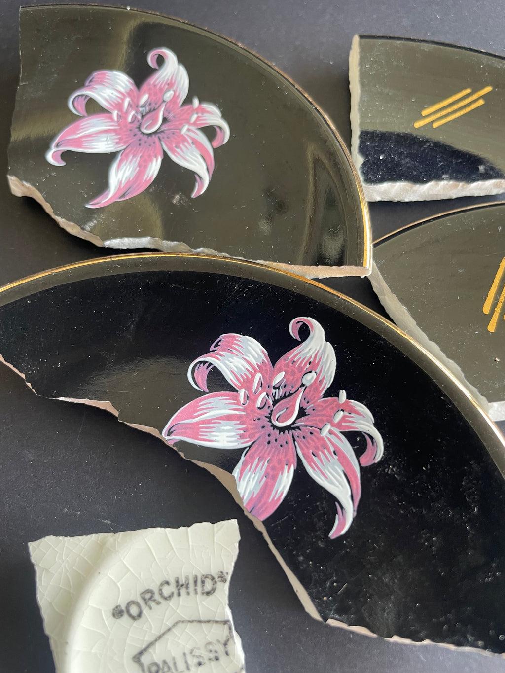 Palissy Orchid