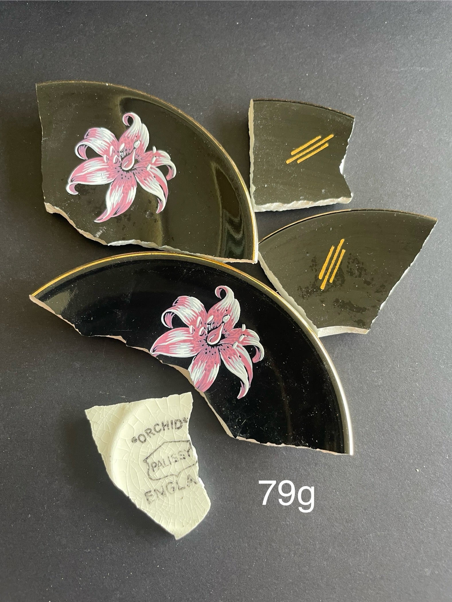 Palissy Orchid