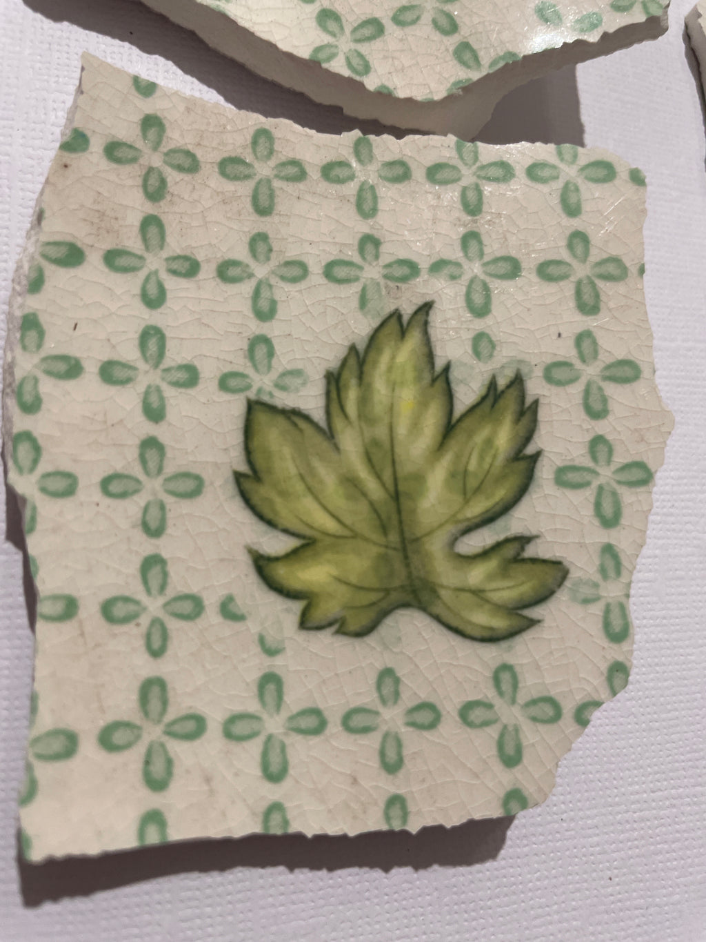 Green Ivy