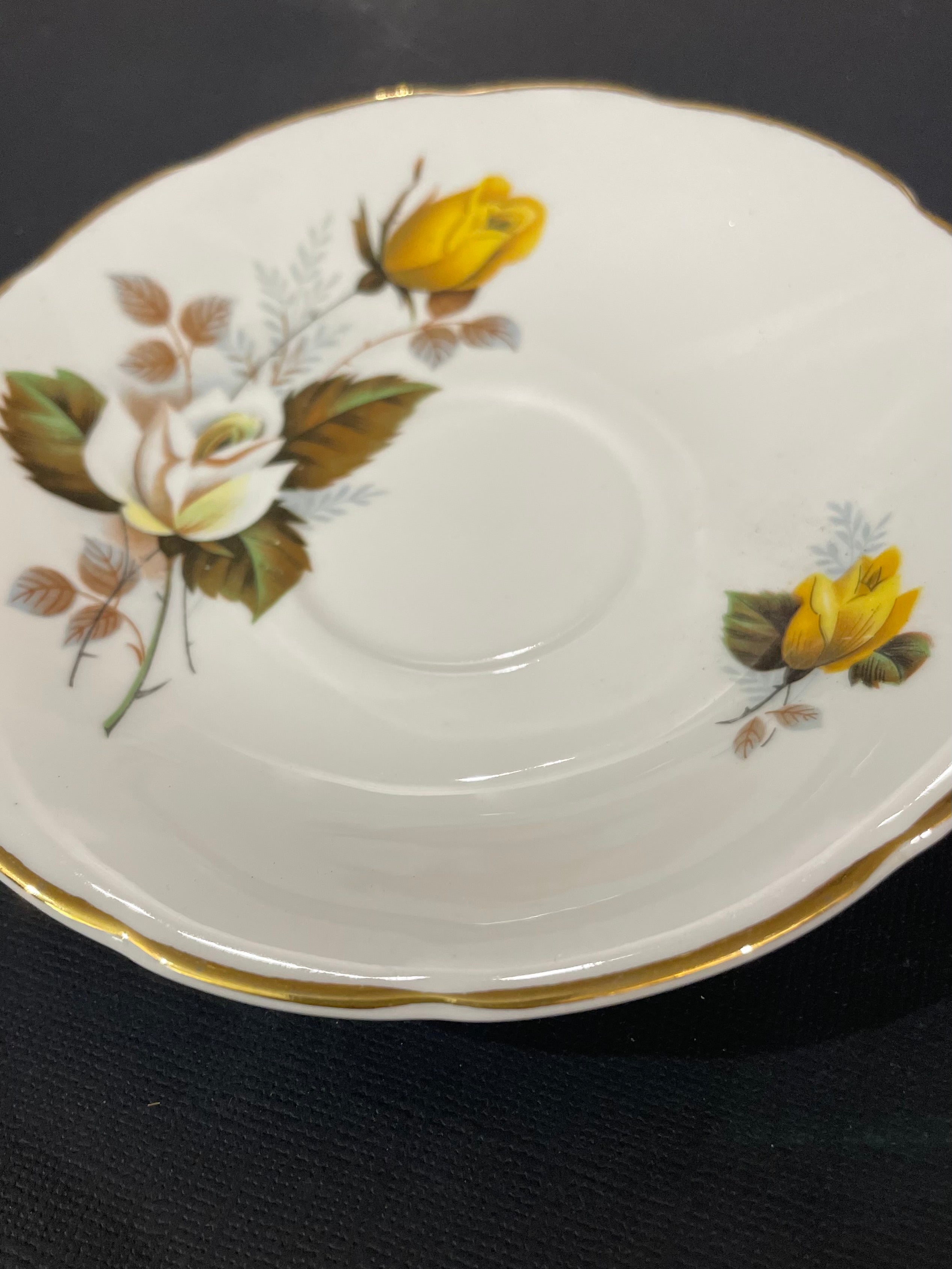 Whole Plate - Delphine