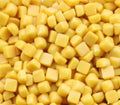 Micro Squares - Golden Yellow