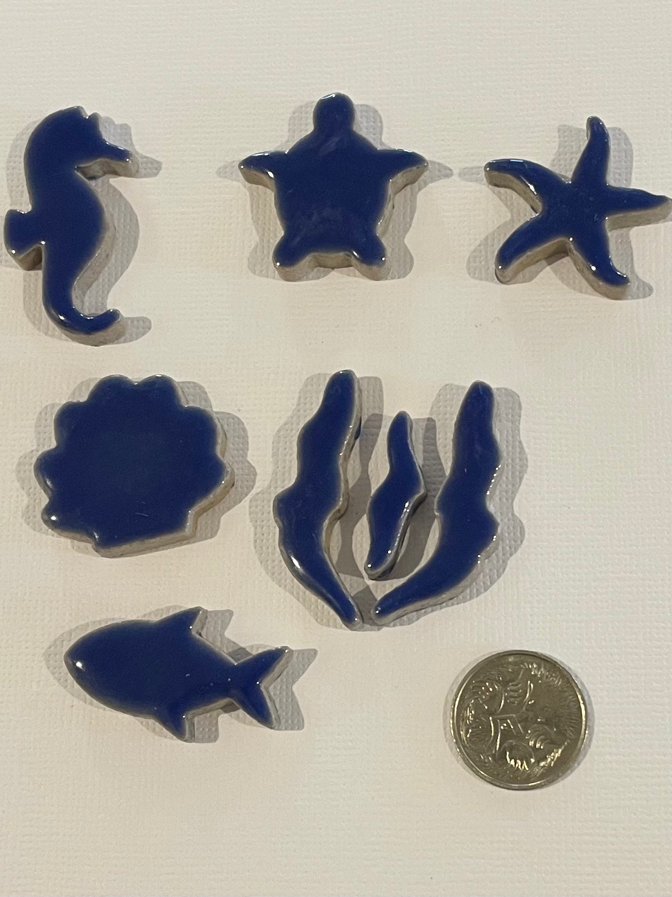 Sea Life - Delphinium