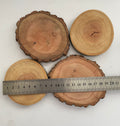 Assorted Wood Slices