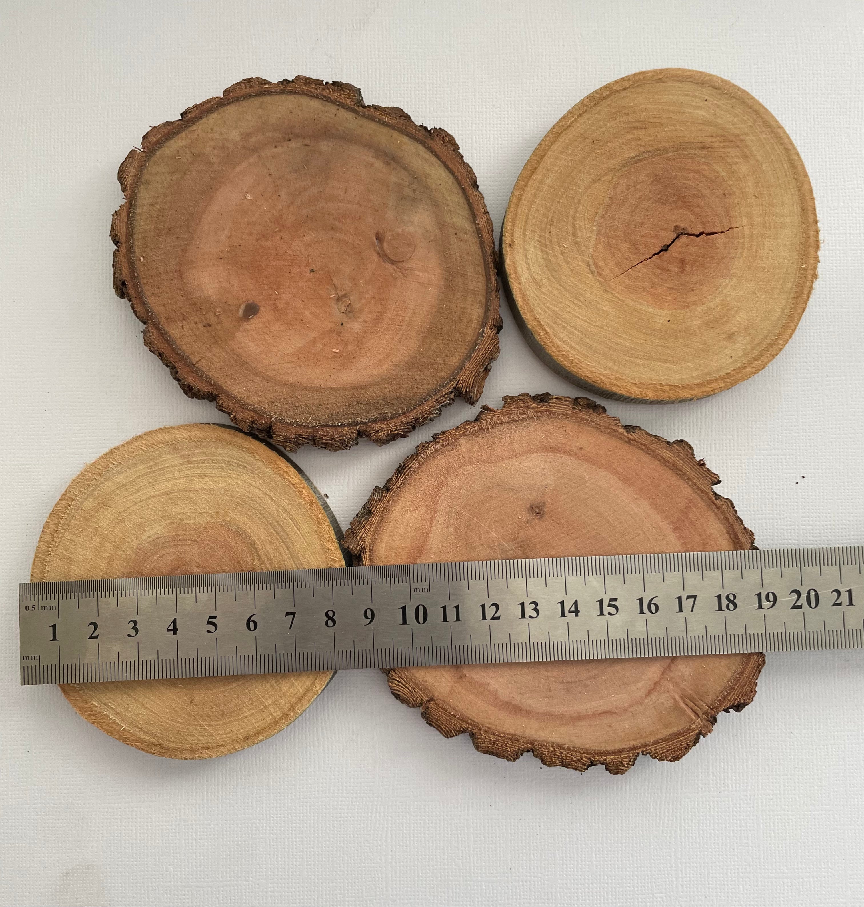 Assorted Wood Slices