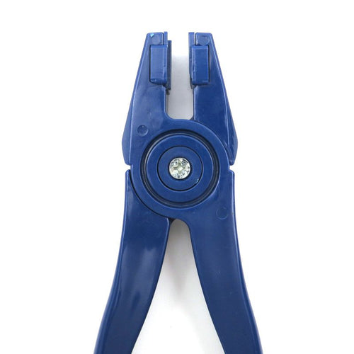 Blue Runner