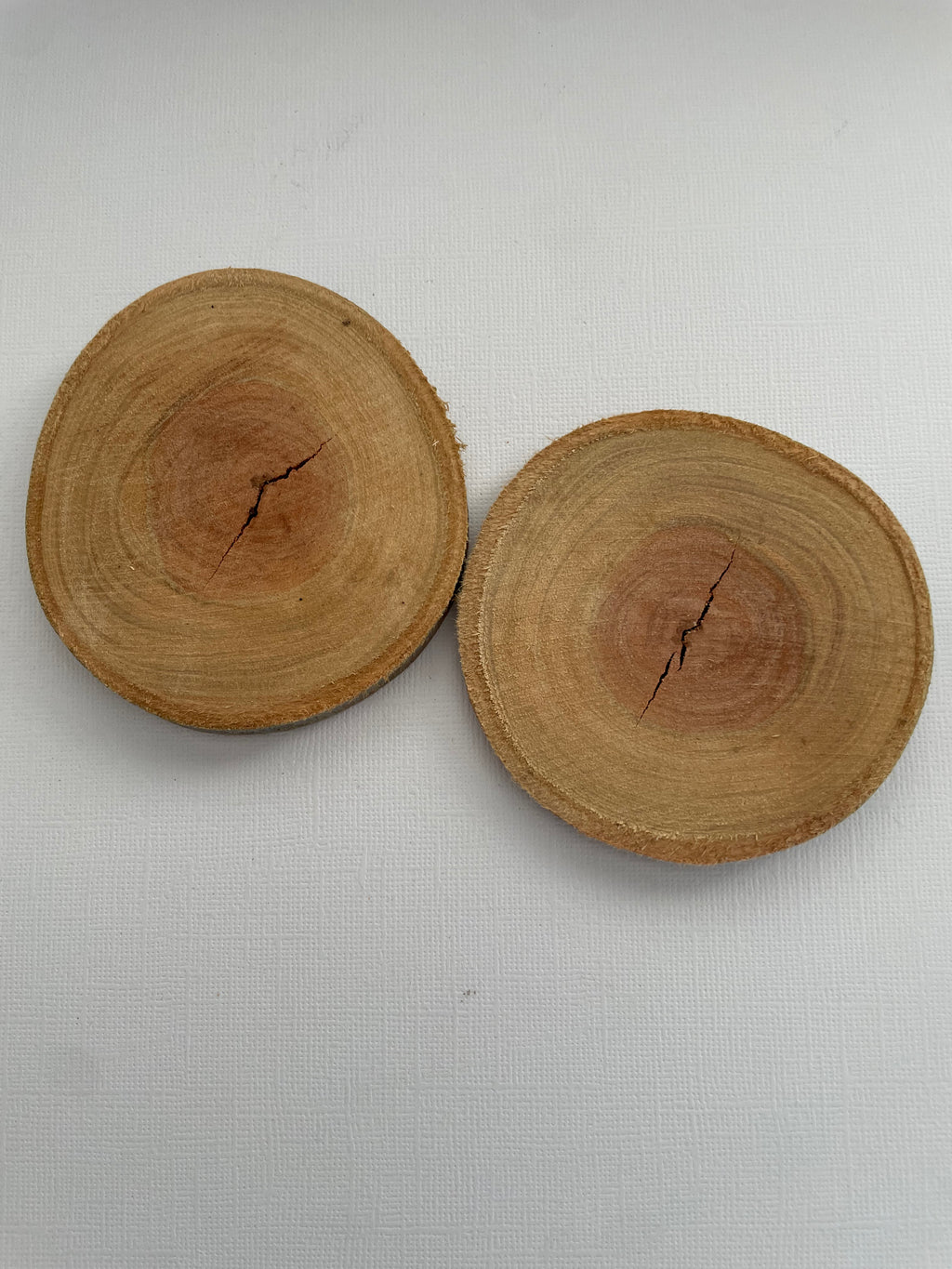 Assorted Wood Slices