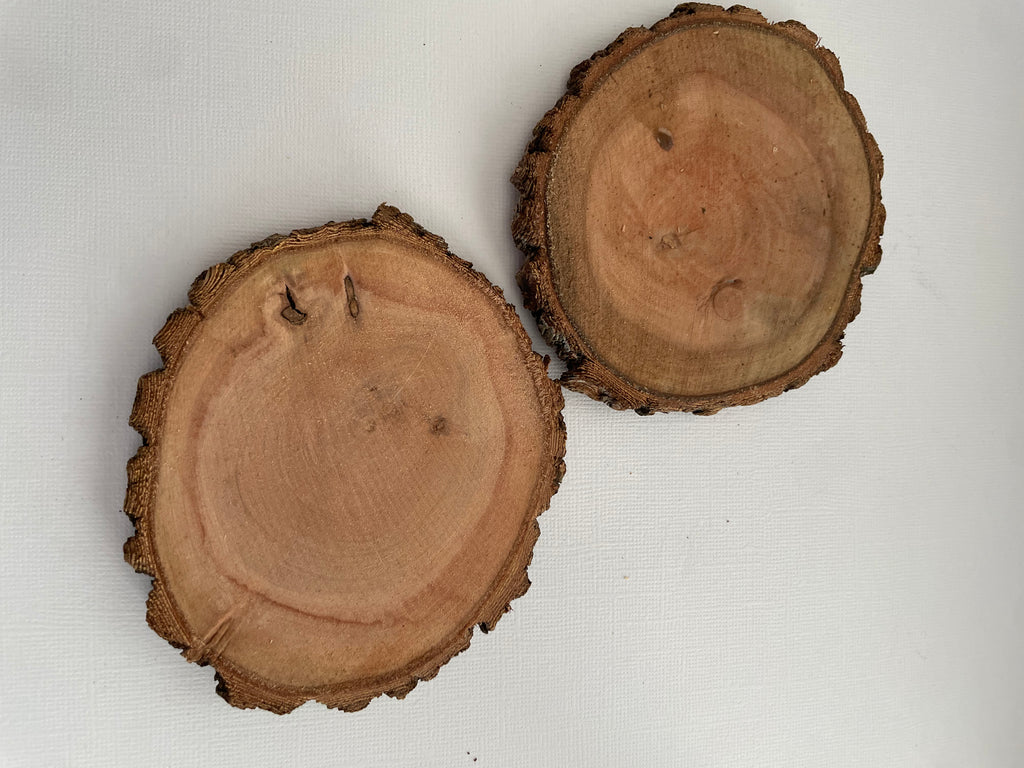 Assorted Wood Slices
